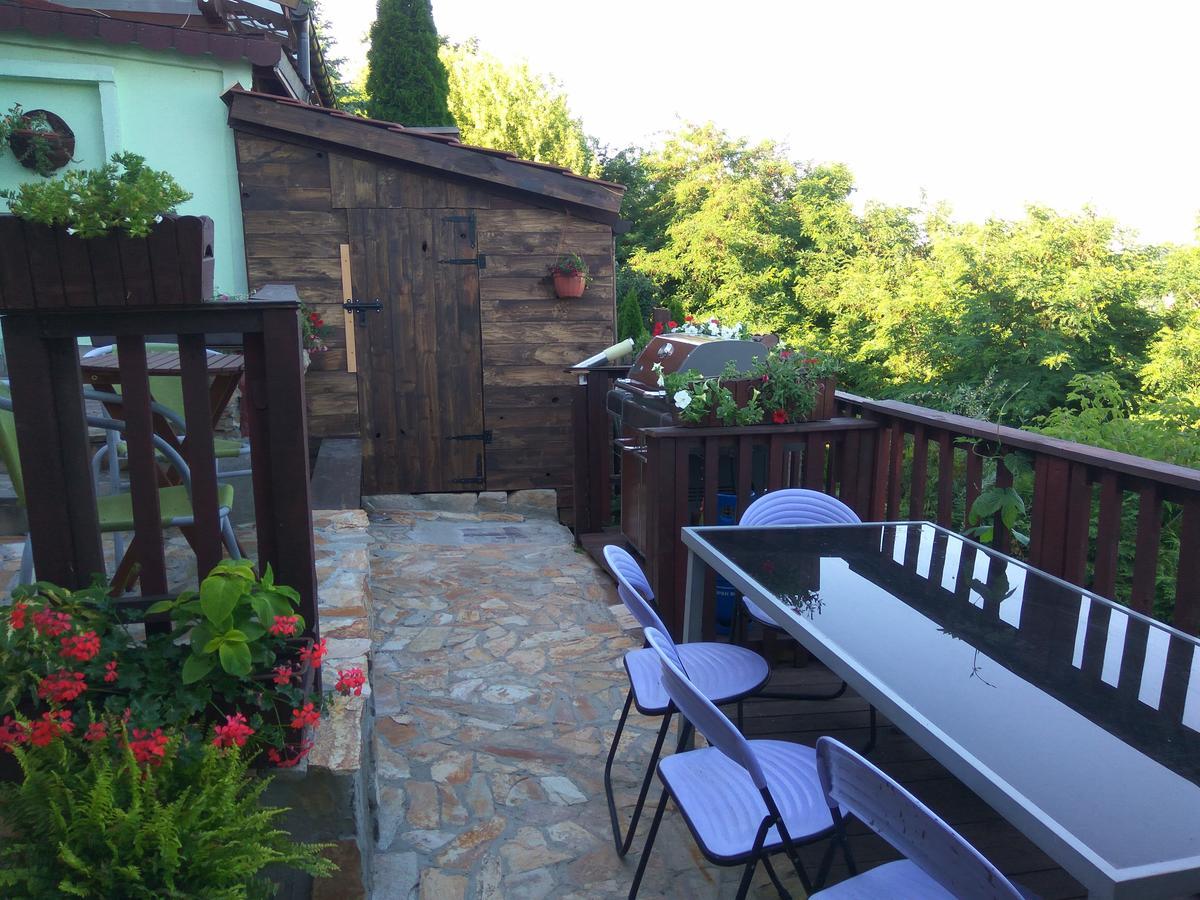 Ferienwohnung Zielone Wzgorze Na Starowce Sandomierz Exterior foto